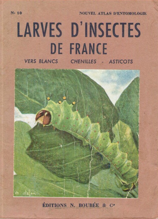 Paulian, R. - Larves d'Insectes de France vers blancs - chenilles - asticots