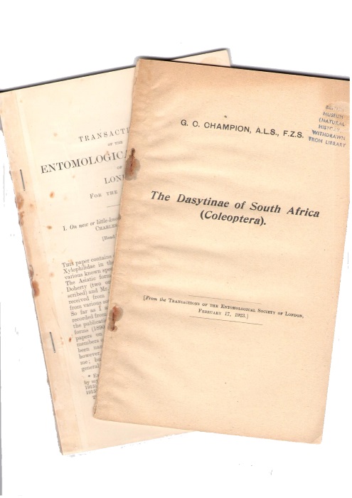 Champion, C. - On New or Little-Known Xylophilidae / The Dasytinae of South Africa (Coleoptera)