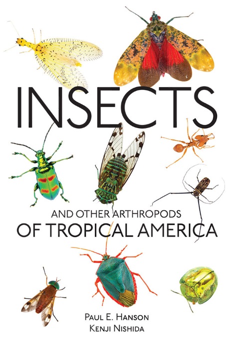 Hanson, P.E.; Nishida, K. (Illus) - Insects and Other Arthropods of Tropical America