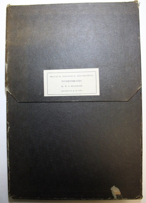 Bullough, W.S. - Practical Zoological Illustrations Invertebrates