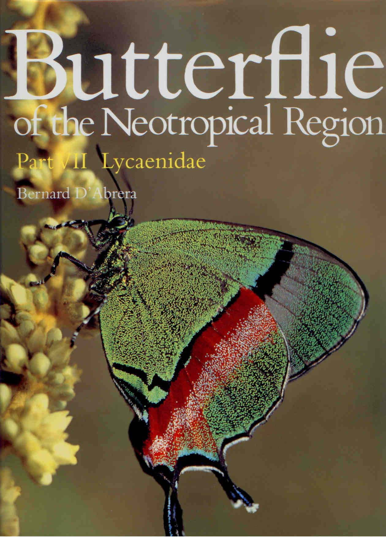 d'Abrera, B. - Butterflies of the Neotropical Region 7: Lycaenidae