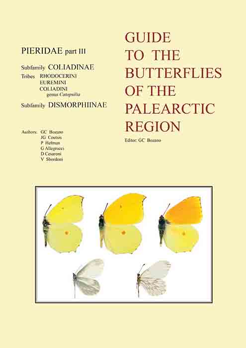 Bozano, G.C.; Coutsis, J.G.; Herman, P.; Allegrucci, G.; Cesaroni, D.; Sbordoni, V. - Guide to the Butterflies of the Palearctic Region: Pieridae 3: Coliadinae: Rhodocerini, Euremini, Coliadini (Gonepteryx and others) & Dismorpiinae (Leptidea)