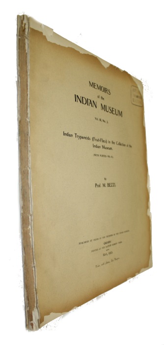 Bezzi, M. - Indian Trypaneids  (Fruit-Flies) in the Collection of the Indian Museum