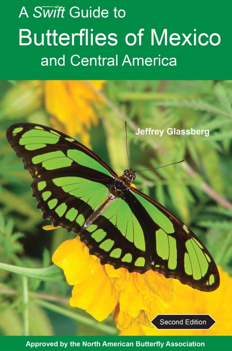 Glassberg, J. - A Swift Guide to Butterflies of Mexico and Central America