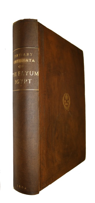 Andrews, C.W. - A Descriptive Catalogue of the Tertiary Vertebrata of the Faym, Egypt