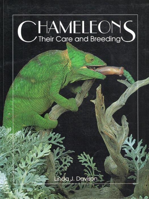 Davison, L.J. - Chameleons: Their Care and Breeding