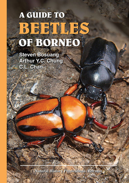 Bosuang, S.; Chung, A.Y.C.; Chan, C.L. - A Guide to Beetles of Borneo
