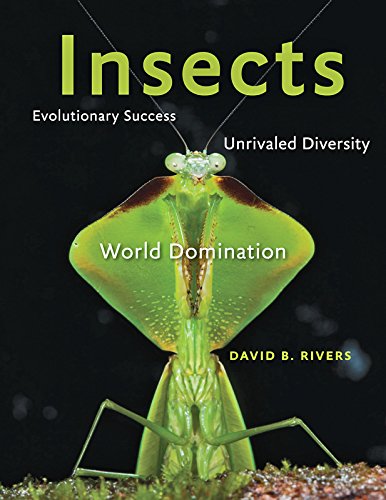 Rivers, D.B. - Insects: Evolutionary Success Unrivaled Diversity and World Domination