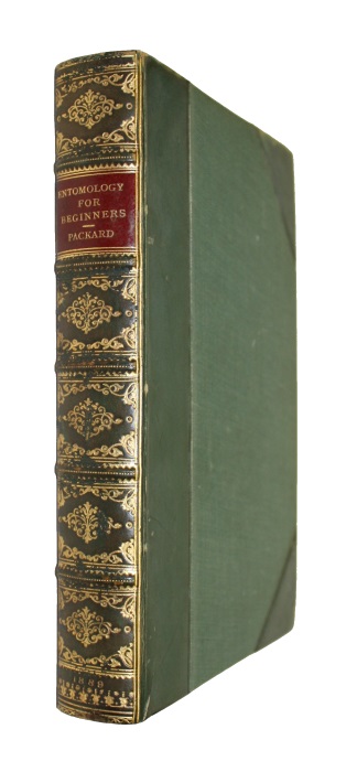 Packard, A.S. - Entomology for Beginners for the Use of Young Folks, Fruit-Growers, Farmers, and Gardeners