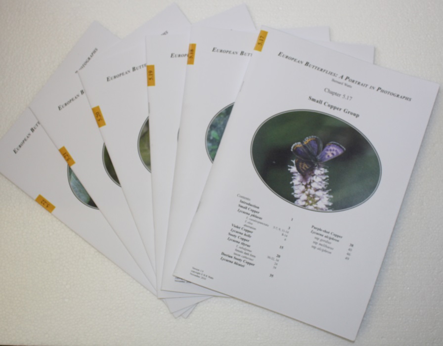Watts, B.R. - European Butterflies: A Portrait in Photographs IV: Lycaenidae: Lycaeninae, Theclinae and Riodininae (Coppers, Hairstreaks and Metalmark)