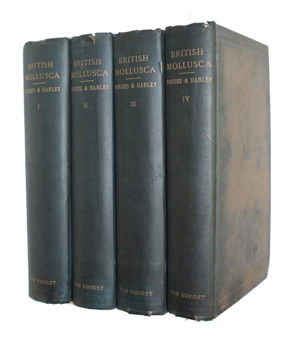 Forbes, E.; Hanley, S. - A History of British Mollusca, and their Shells