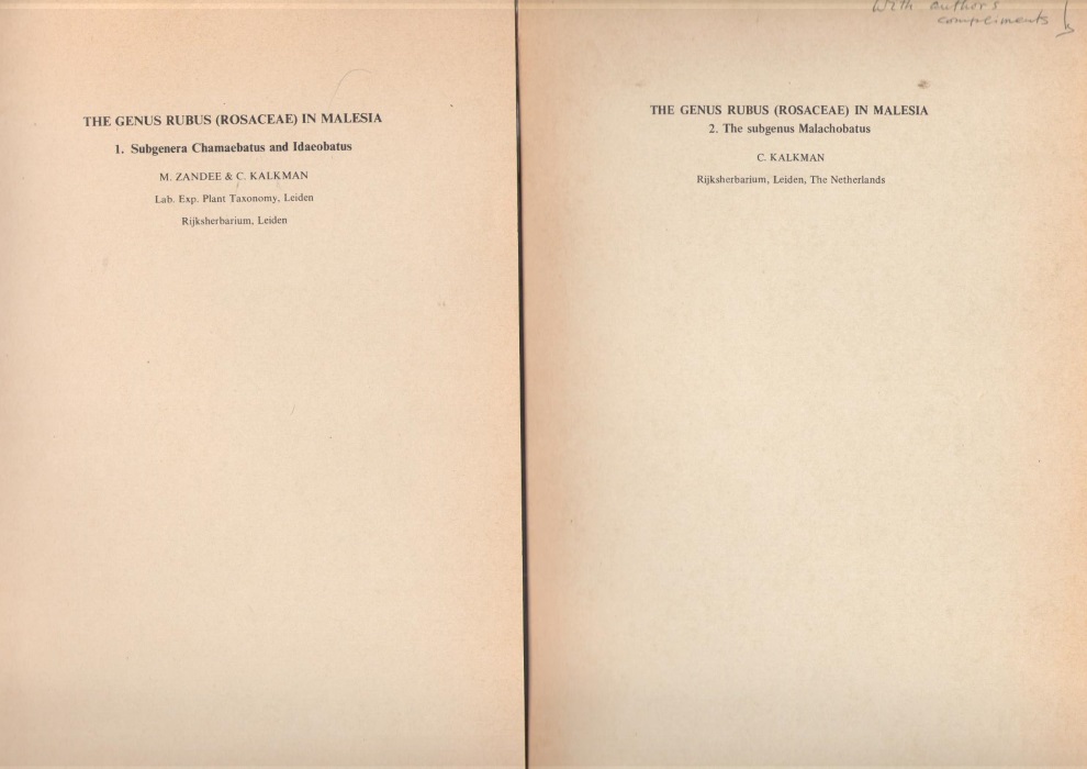 Zandee, M.; Kalkman, C. - The Genus Rubus (Rosaceae) in Malesia: 1. Subgenera Chamaebatus and Idaeobatus; 2. The Sugenus Malachobatus