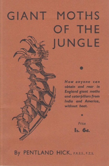 Hick, P. - Giant Moths of the Jungle: A Guide to a New Hobby