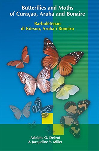Debrot, A.O.; Miller, J.Y. - Butterflies and Moths of Curacao Aruba and Bonaire (Barbuletenan do Korsou Aruba I Boneiru)