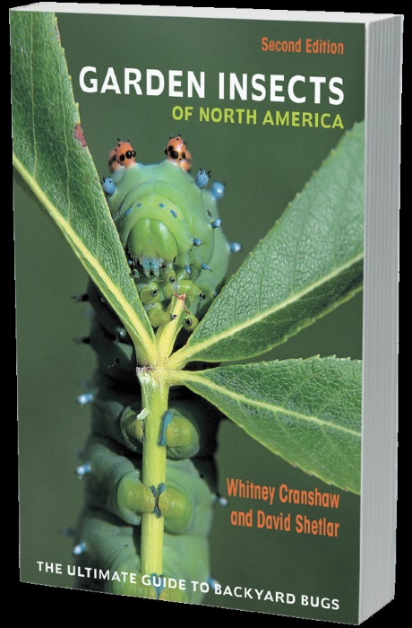 Cranshaw, W.; Shetlar, D. - Garden Insects of North America: The Ultimate Guide to Backyard Bugs