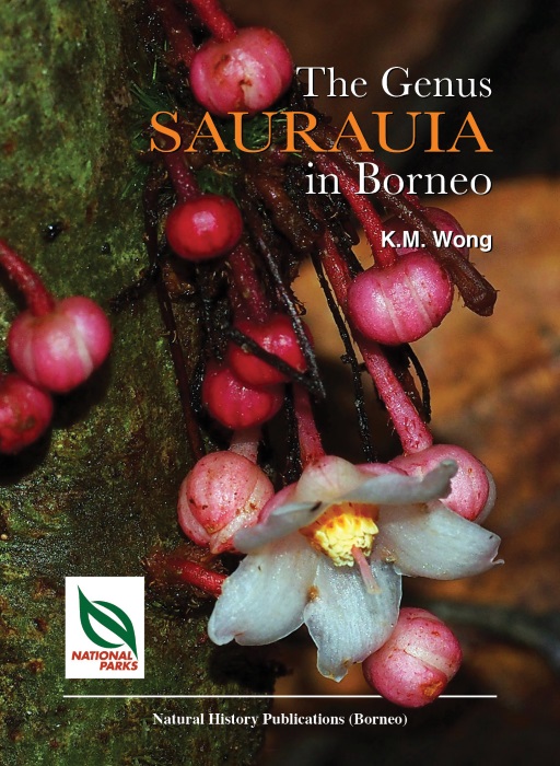 Wong, K.M. - The Genus Saurauia in Borneo