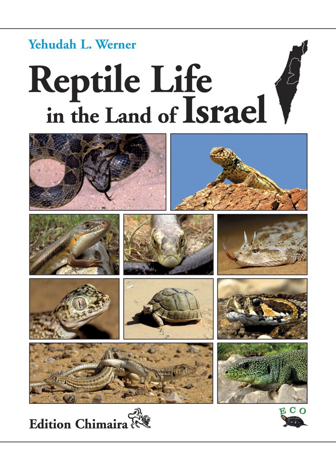 Werner, Y.L. - Reptile Life in the Land of Israel