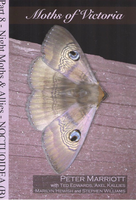 Marriott, P. et al. - Moths of Victoria Pt 8: Noctuoidea (B) (Aganaidae, Erebidae (part), Noctuidae (part)) - Night Moths and Allies