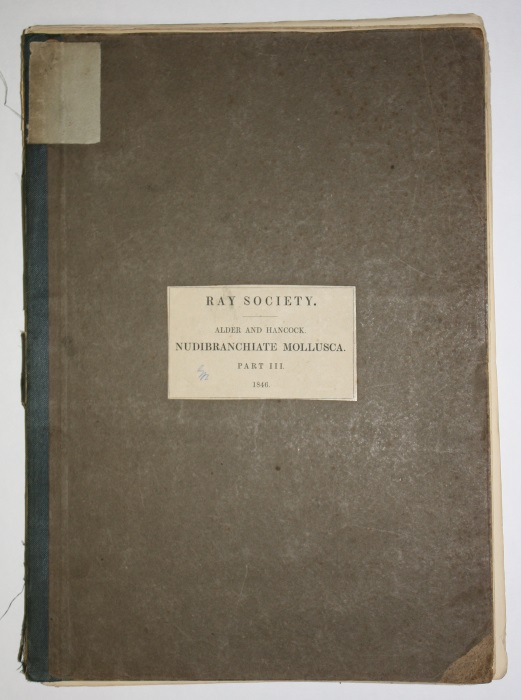 Alder, J.; Hancock, A. - A Monograph of the British Nudibranchiate Mollusca. Pt III