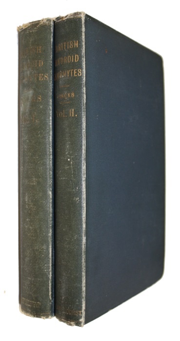 Hincks, T. - A History of the British Hydroid Zoophytes. Vol. I-II