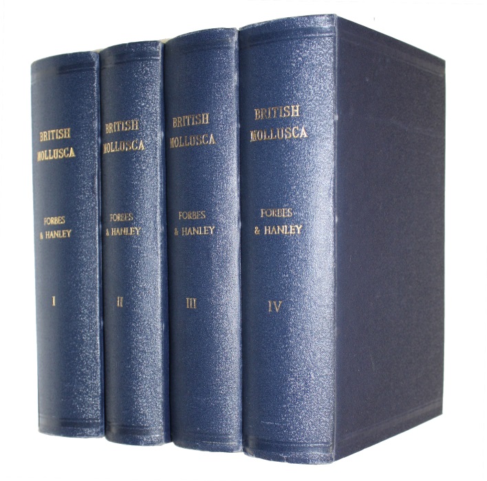 Forbes, E.; Hanley, S. - A History of British Mollusca, and their Shells