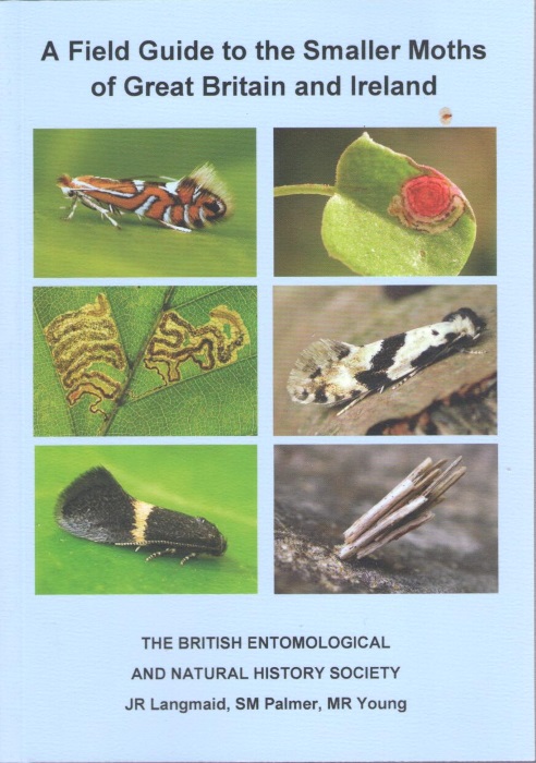 Langmaid, J.R.; Palmer, S.M.; Young, M.R. - A Field Guide to the Smaller Moths of Great Britain and Ireland