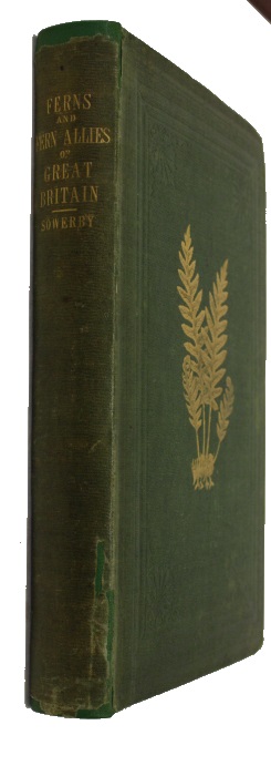 Sowerby, J.E.; Johnson, C. - Ferns of Great Britain [with] The Fern Allies: A Supplement to the Ferns of Great Britain