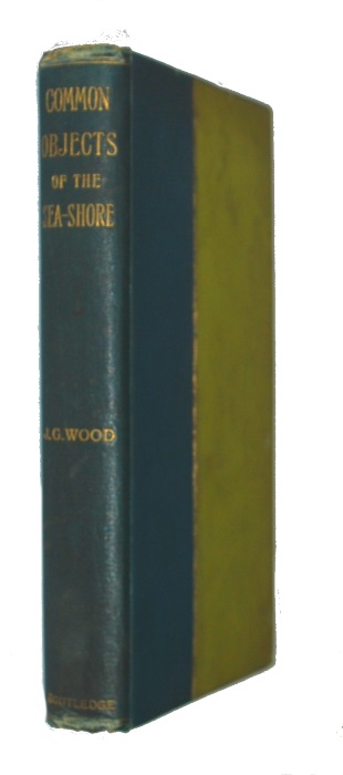 Wood, J.G. - Common Objects of the Sea-shore