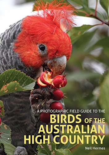 Hermes, N. - A Photographic Field Guide to the Birds of the Australian High Country