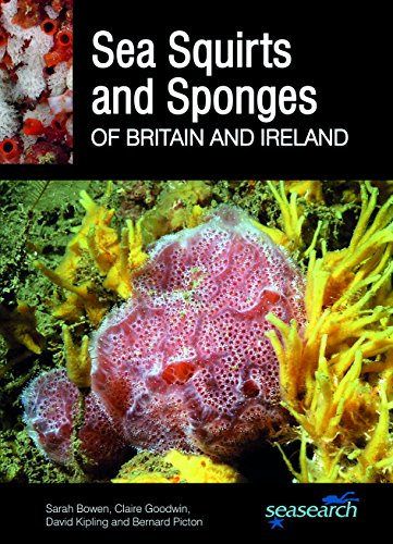 Bowen, S.; Goodwin, C.; Kipling, D.; Picton, B. - Sea Squirts and Sponges of Britain and Ireland