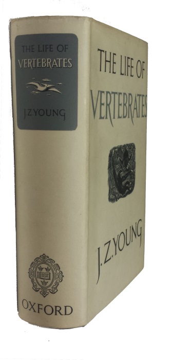 Young, J.Z. - The Life of Vertebrates