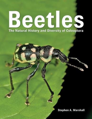 Marshall, S.A. - Beetles: The Natural History and Diversity of Coleoptera