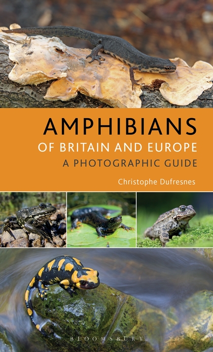 Dufresnes, C. - Amphibians of Europe, North Africa and the Middle East: A Photographic Guide