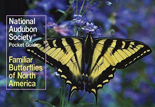 Walton, R.K.; Opler, P.A. - Familiar Butterflies of North America