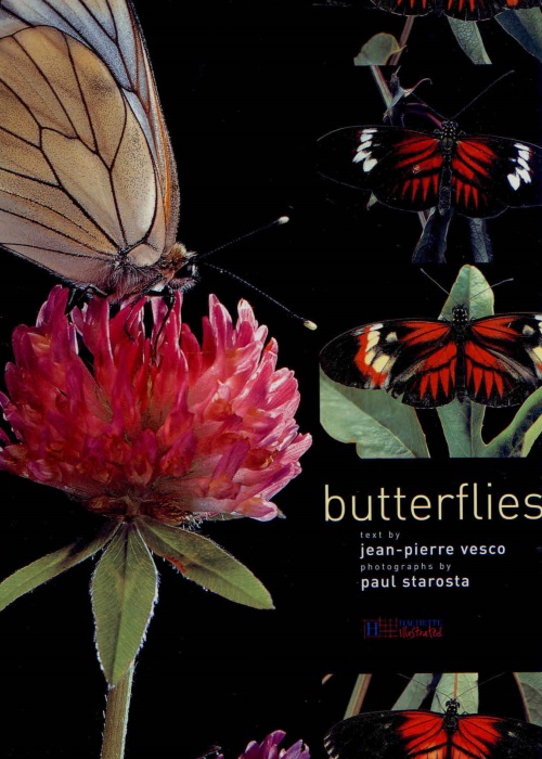 Vesco, J.-P. - Butterflies