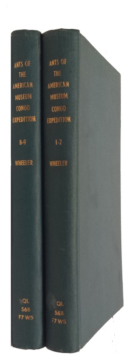 Wheeler, W.M. - Ants of the American Congo Expedition I: On the Distribution of the Ants of the Ethiopian and Malagasy Regions; II: The Ants Collected by the American Museum Congo Expedition; VIII: A Synonymic List of the Ants of the Ethiopian Region; IX: A Synonymic Lis