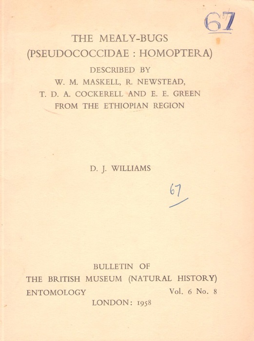 Williams, D.J. - The Mealy-Bugs (Pseudococcidae: Homoptera) described by W.M. Maskell, R. Newstead, T.D.A. Cockerell and E.E. Green from the Ethiopian Region