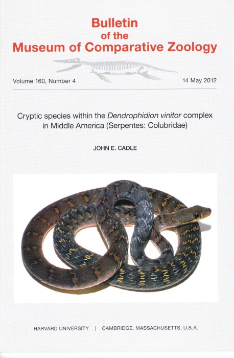 Cadle, J.E. - Cryptic species within the Dendrophidion vinitor complex in Middle America (Serpentes: Colubridae)
