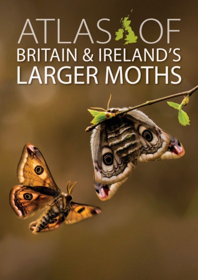 Randle, Z.; Evans-Hill, L.J.; Parsons, M.S.; Tyner, A.; Bourn, N.A.D.; Davis, T.; Dennis, E.B.; O'Donnell, M.; Prescott, T.; Tordoff, G.M.; Fox, R. - Atlas of Britain and Ireland's Larger Moths