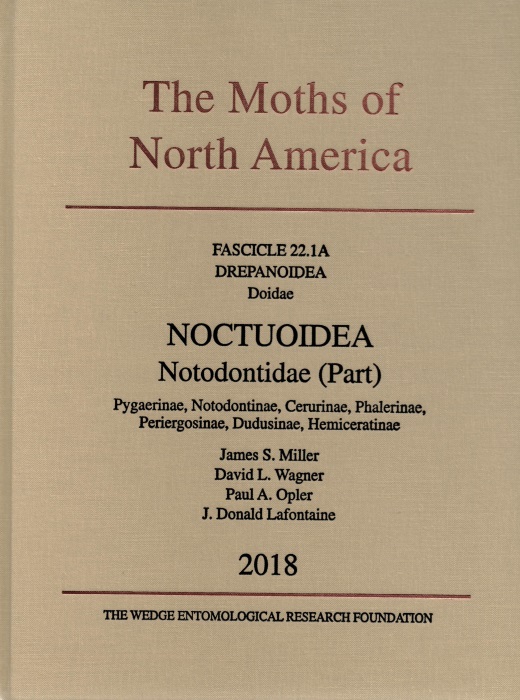 Miller, J.S.; Wagner, D.L.; Opler, P.A.; Lafontaine, J.D. - The Moths of North America 22.1A: Drepanoidea, Doidae; Noctuoidea, Notodontidae (Part): Pygaerinae, Notodontinae, Cerurinae, Phalerinae, Periergosinae, Dudusinae, Hemiceratinae