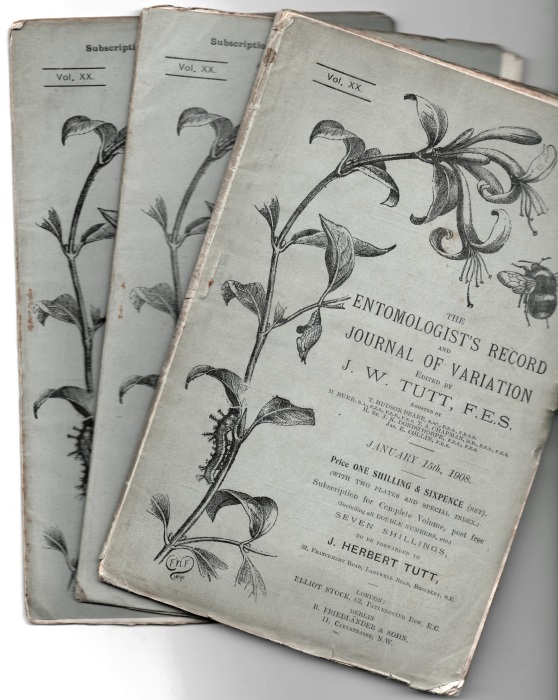 Tutt, J.W. (Ed.) - The Entomologist's Record and Journal of Variation. Vol. 20