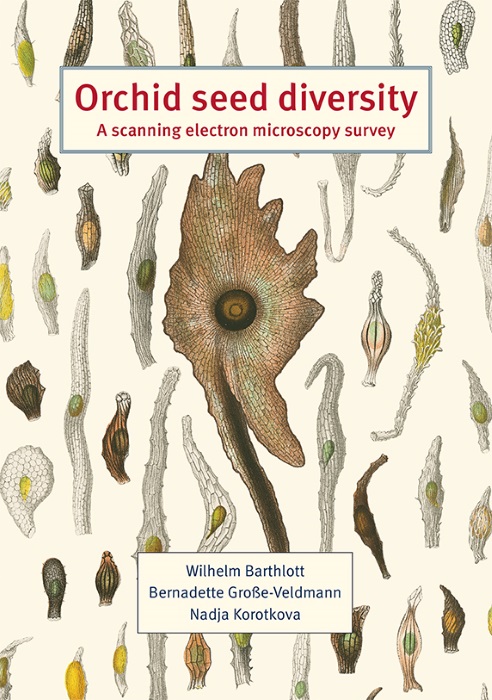 Barthlott W.; Groe-Veldmann B.; Korotkova N. - Orchid seed diversity: A scanning electron microscopy survey