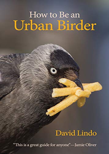 Lindo, D. - How to be an Urban Birder