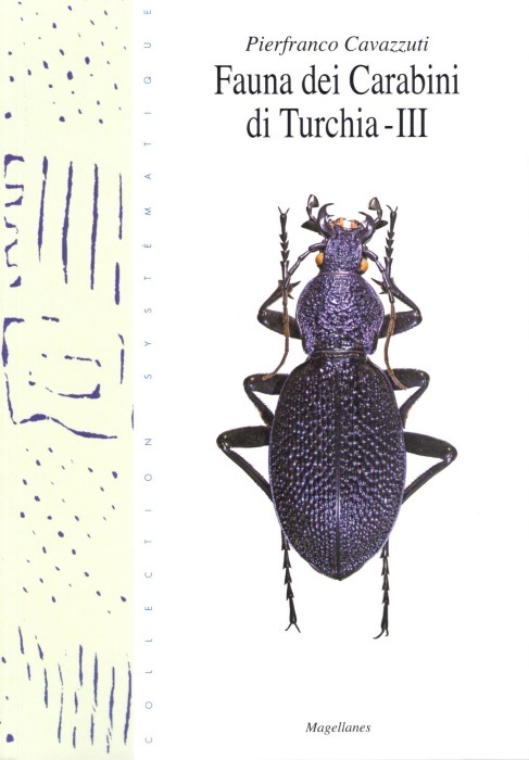 Cavazzuti, P. - Fauna dei Carabini di Turchia  3