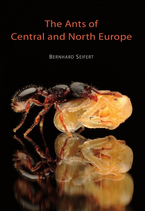 Seifert, B. - The Ants of Central and North Europe