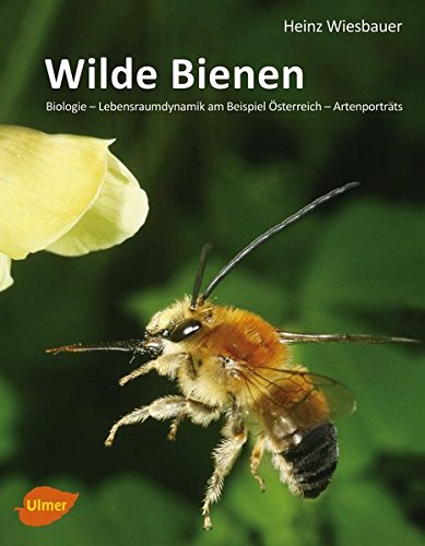 Wiesbauer, H. - Wilde Bienen: Biologie - Lebensraumdynamik am Beispiel sterreich - Artenportrts