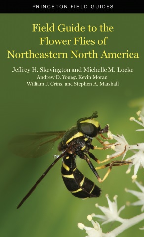 Skevington, J.H.; Locke, M.M.; Young, A.D.; Moran, K.; Crins, W.J.; Marshall, S.A. - Field Guide to the Flower Flies of Northeastern North America