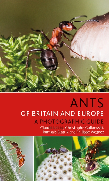 Lebas, C.; Galkowski, C.; Blatrix, R.; Wegnez, P. - Ants of Britain and Europe: A Photographic Guide