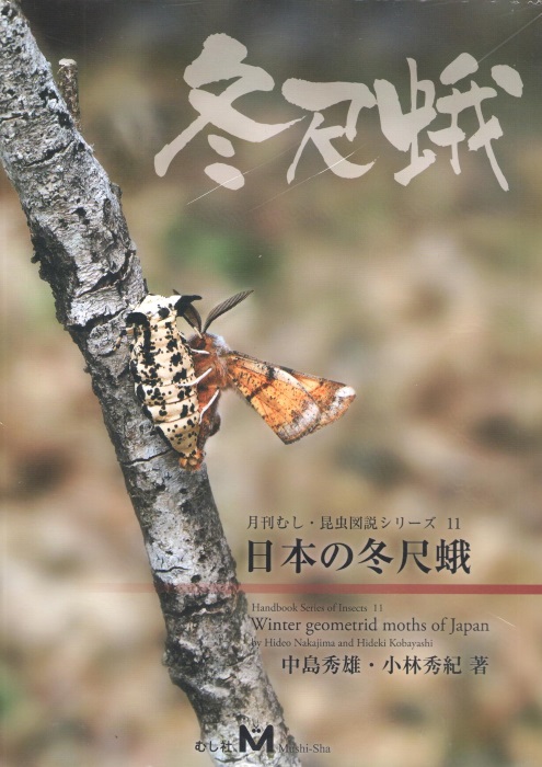 Nakajima, H.; Kobayashi, H. - Winter geometrid moths of Japan
