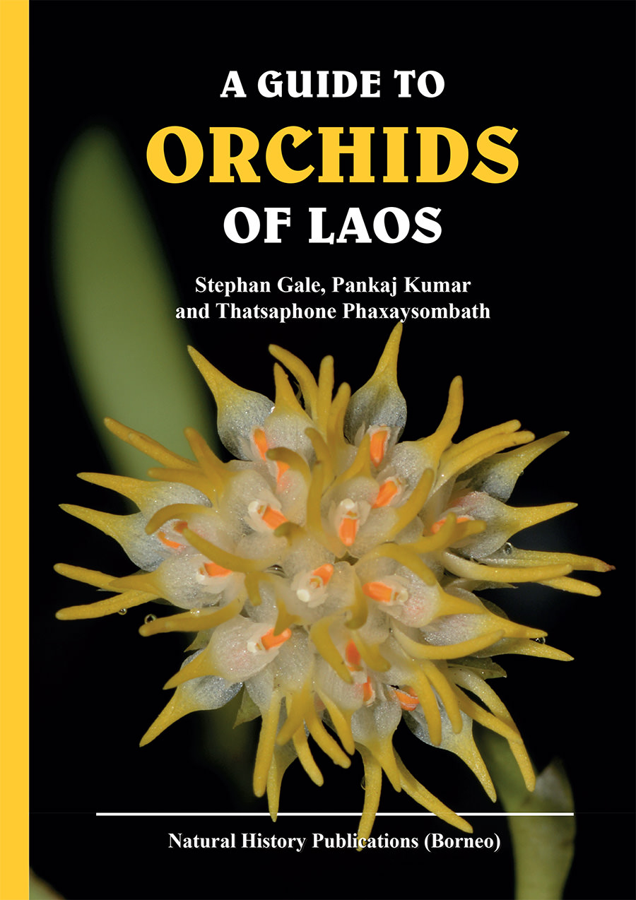 Kumar, P.; Gale, S.; Phaxaysombath, T. - A Guide to Orchids of Laos